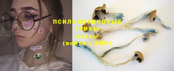 ГАЛЛЮЦИНОГЕННЫЕ ГРИБЫ Волоколамск