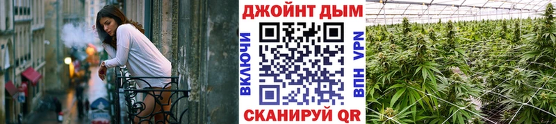 Канабис сатива  Лысково 